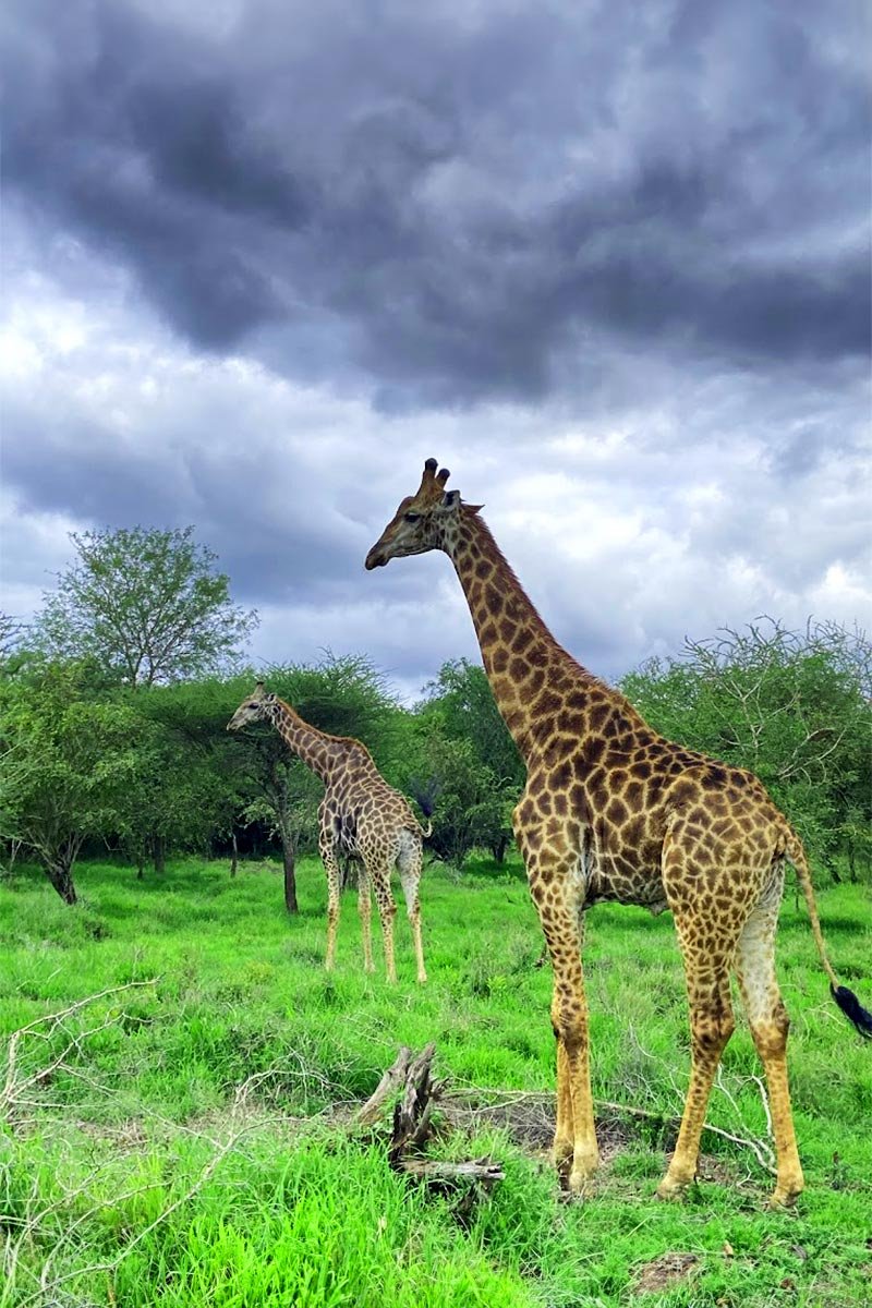 Mbuluzi-05